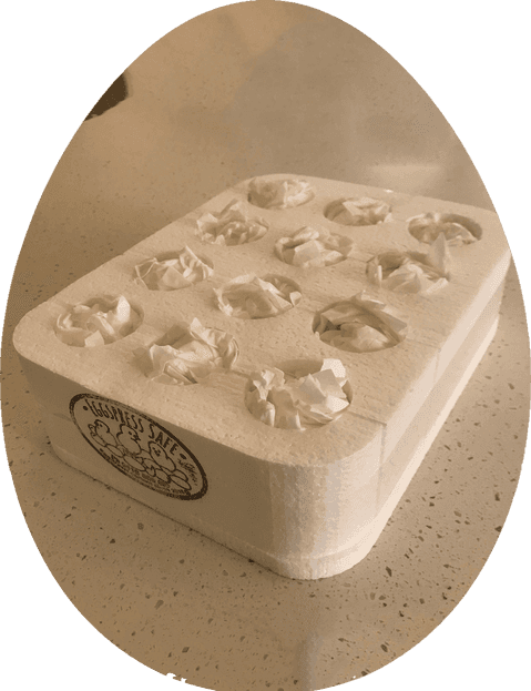 all slots filled for the eggspress with excess tissue coming out